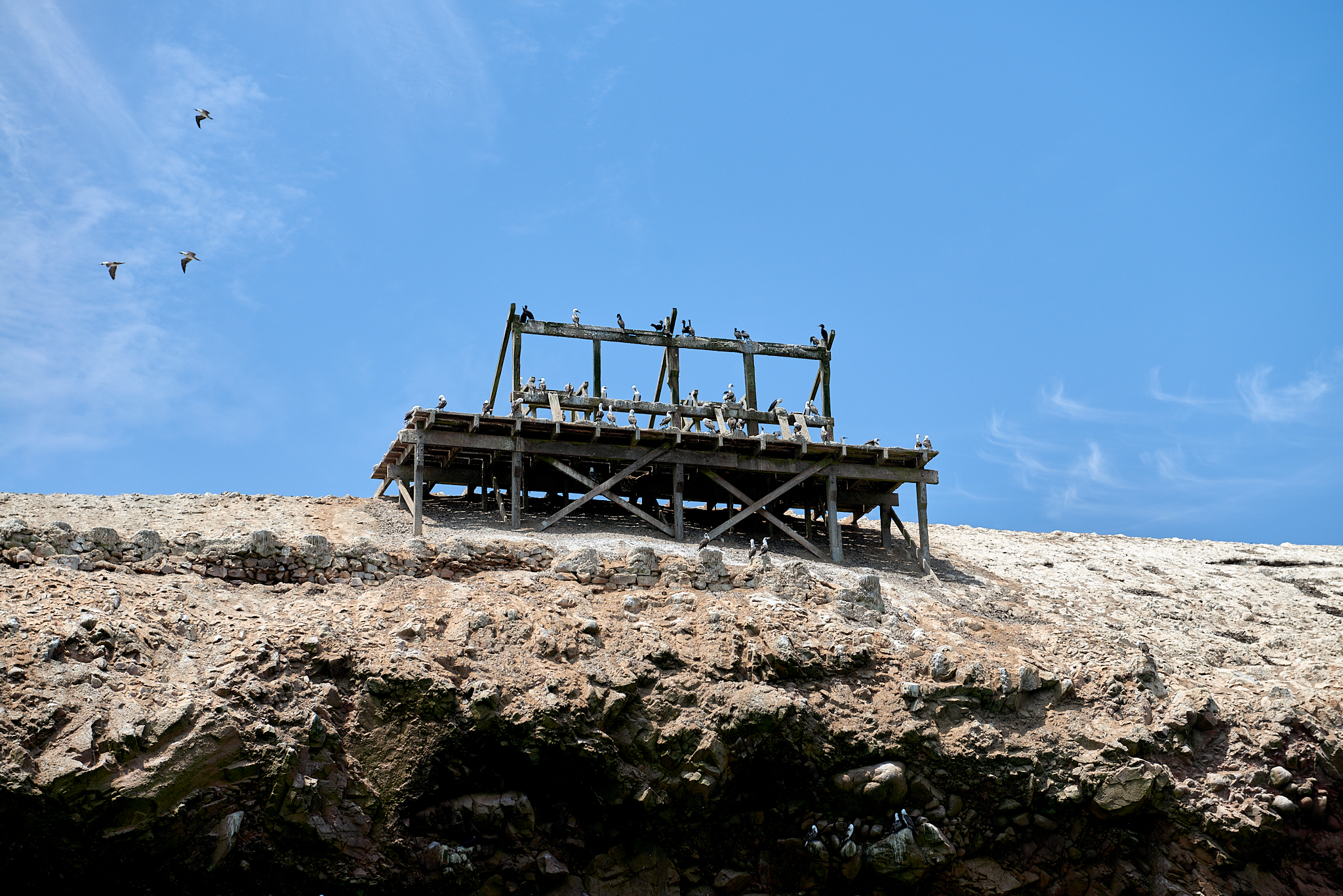 20200304 141 [페루] 바예스타섬